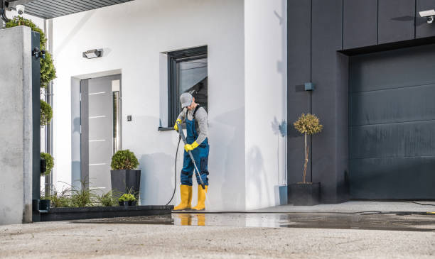 Best Soft Washing  in Carmel, IN